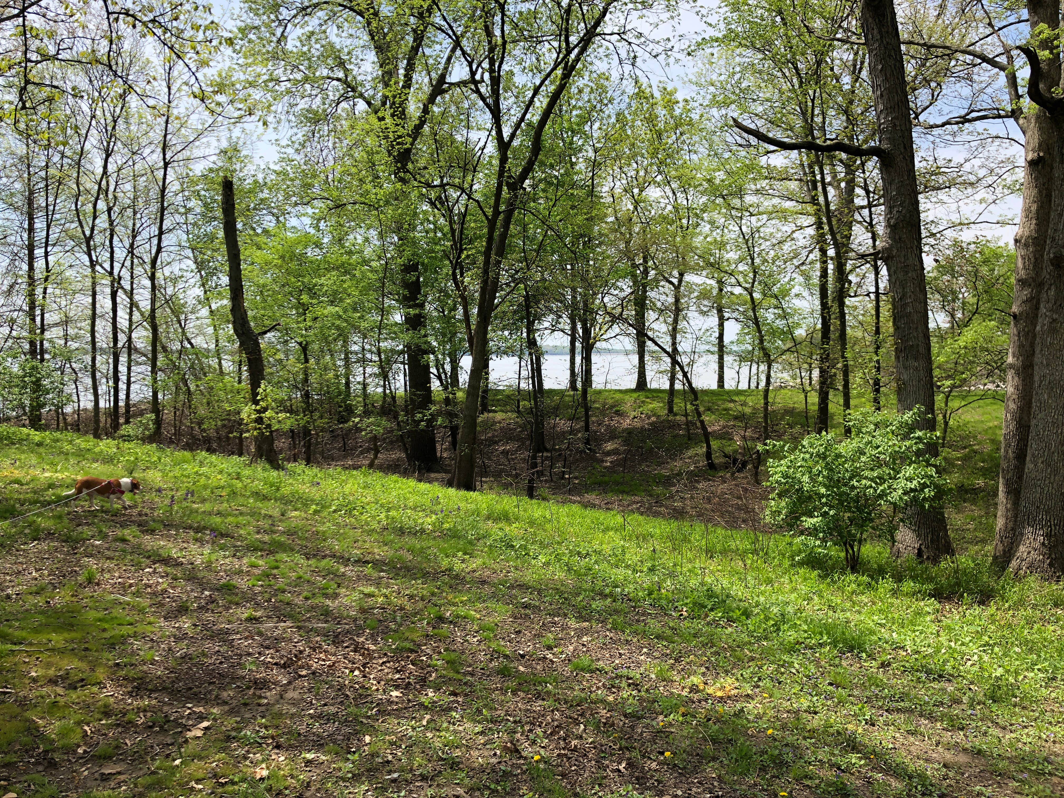 Camper-submitted photo at Illini Campground — Eldon Hazlet State Recreation Area near Hillsboro, IL