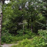 Review photo of Icewater Spring Shelter — Great Smoky Mountains National Park by Myron C., August 1, 2021