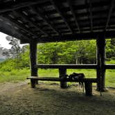 Review photo of Icewater Spring Shelter — Great Smoky Mountains National Park by Myron C., August 1, 2021