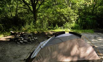 Camping near Upper Cove Creek - UCC2 Dispersed: Blue Ridge Roadside Campsites, Balsam Grove, North Carolina