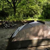 Review photo of Blue Ridge Roadside Campsites by Myron C., August 1, 2021