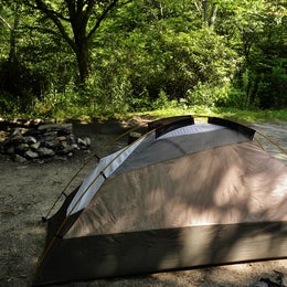 Blue Ridge Roadside Campsites