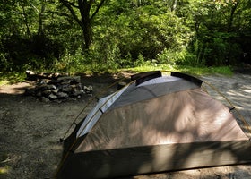 Blue Ridge Roadside Campsites