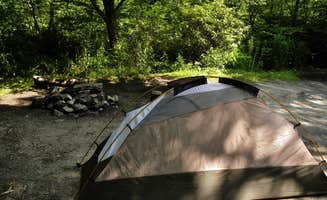 Myron C.'s photo of a dispersed camping area at Blue Ridge Roadside Campsites near National Forests in North Carolina