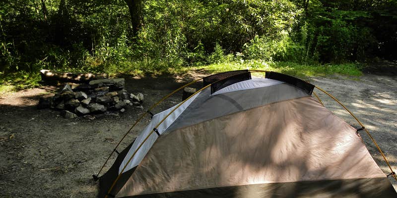 Camper submitted image from Blue Ridge Roadside Campsites