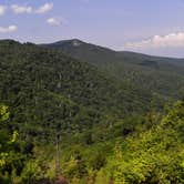 Review photo of Blue Ridge Roadside Campsites by Myron C., August 1, 2021