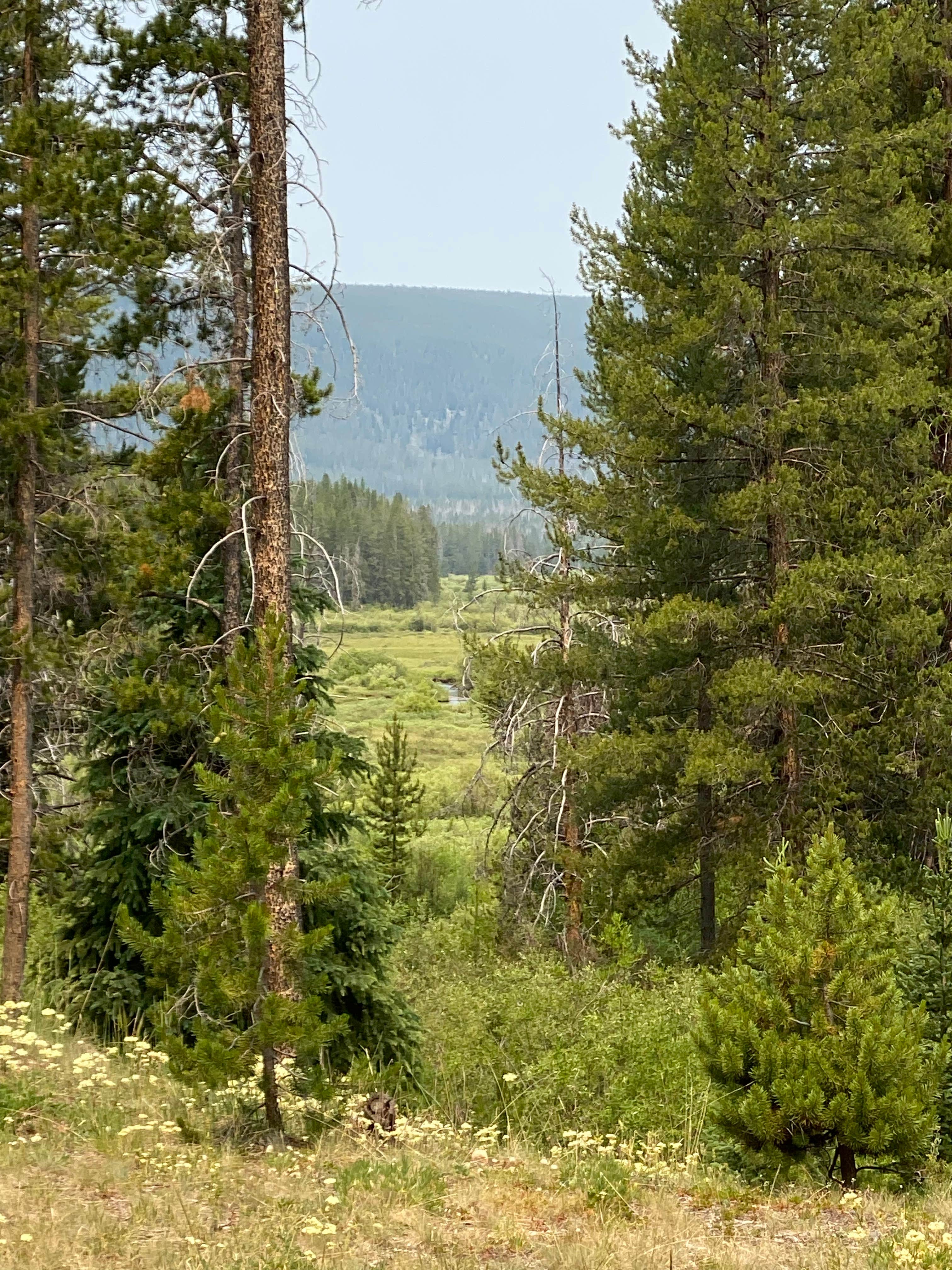 Camping near Price Creek Campground (Mt) — Beaverhead Deerlodge National Forest: Fourth of July Campground, Wise River, Montana