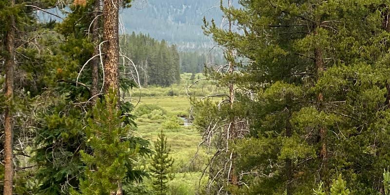 Camper submitted image from Fourth of July Campground