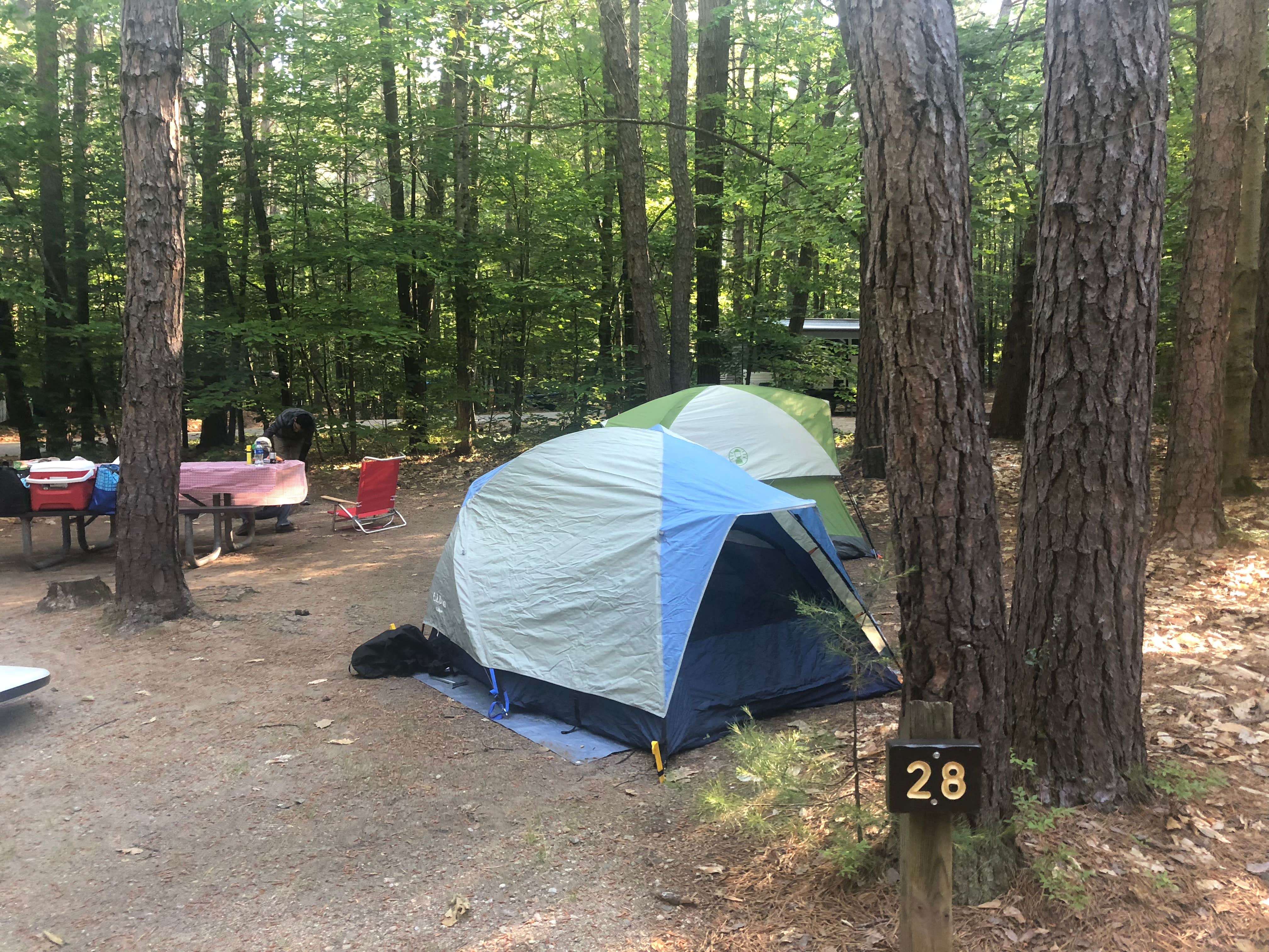 Emma N.'s photo at White Lake State Park Campground near Freedom, NH