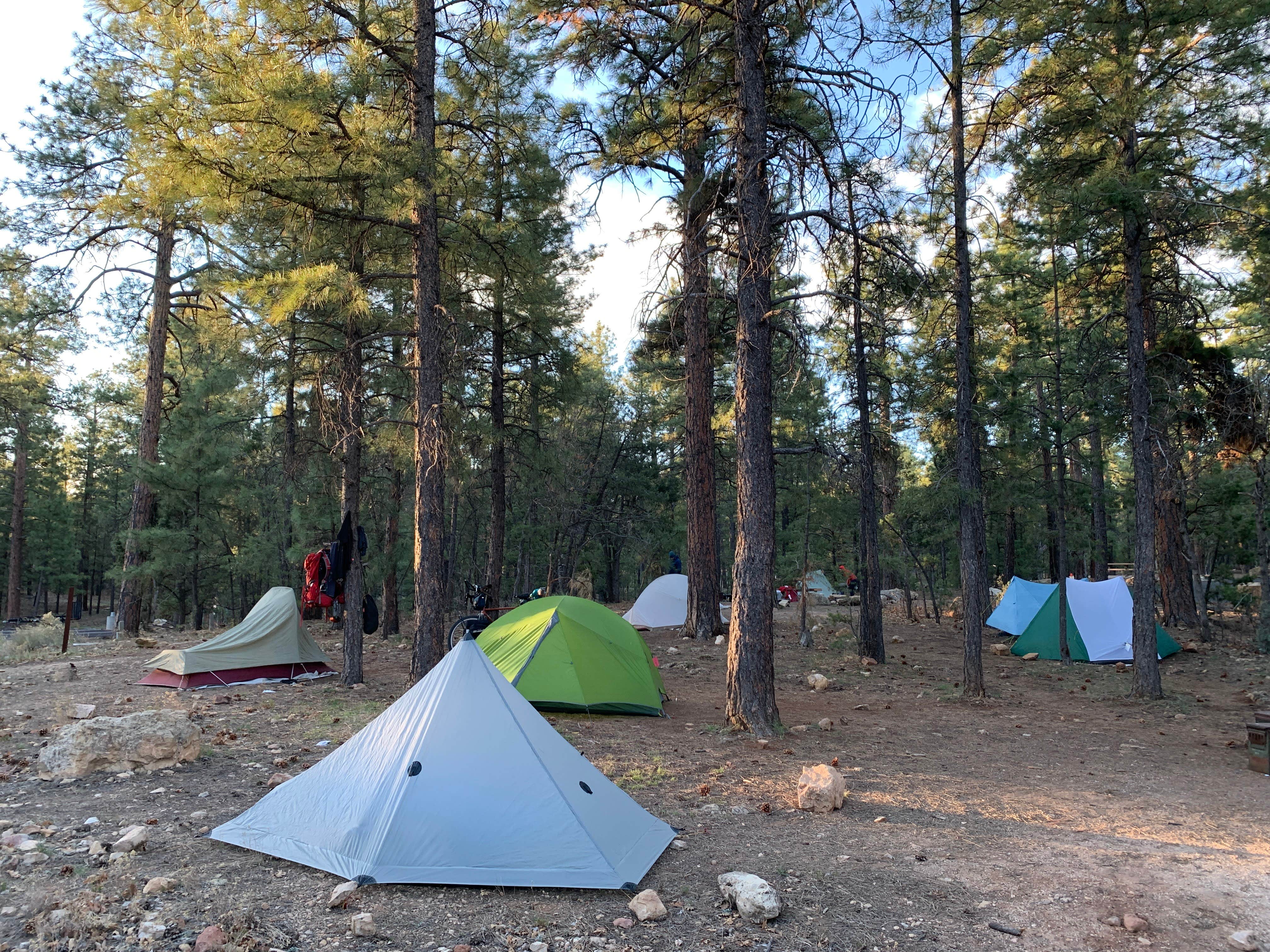 Best camping in Kaibab National Forest The Dyrt