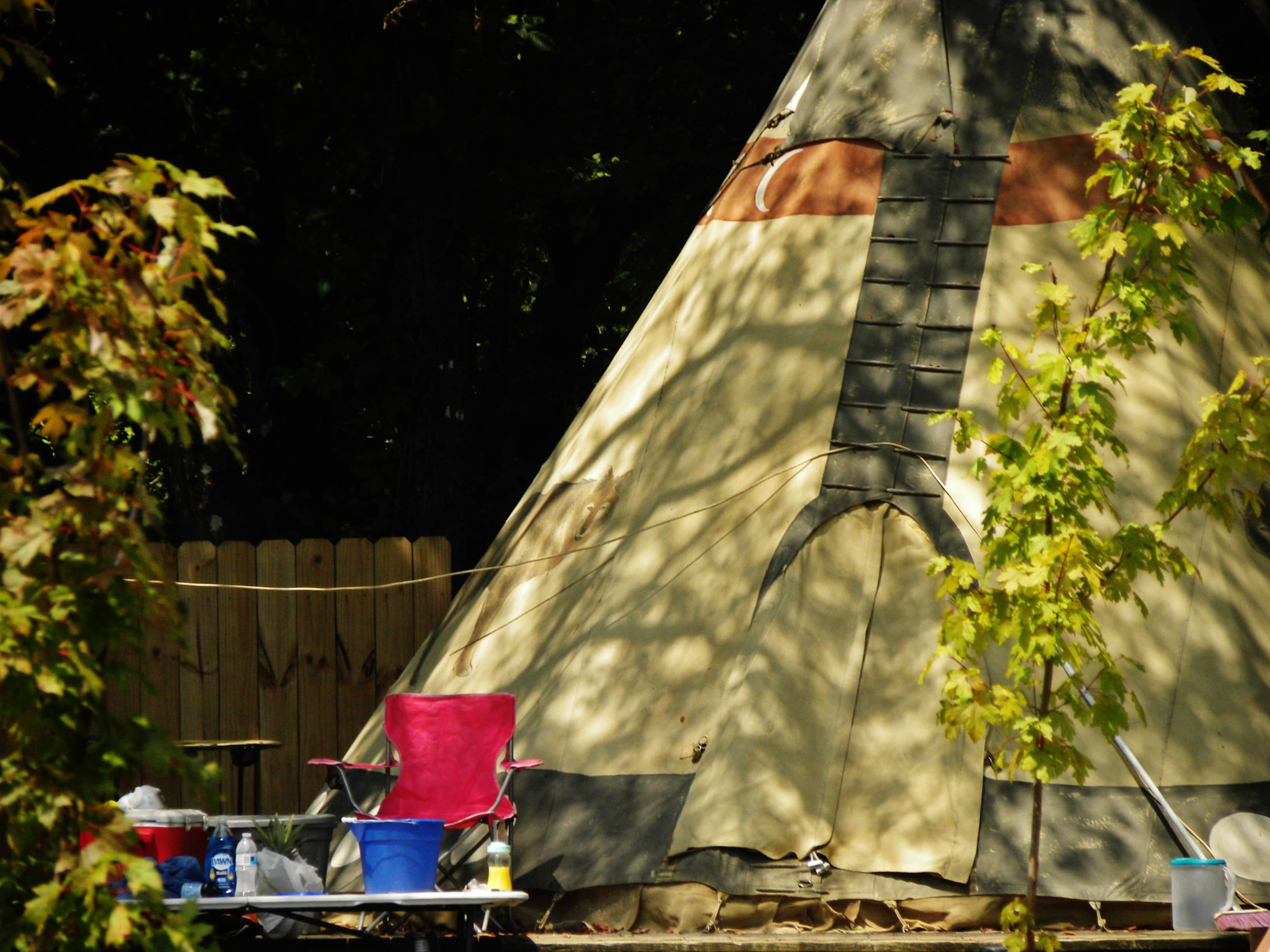 Myron C.'s photo at Grumpy Bear Campground near Whittier, NC