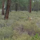 Review photo of Prairie Campground by Jan H., August 1, 2021