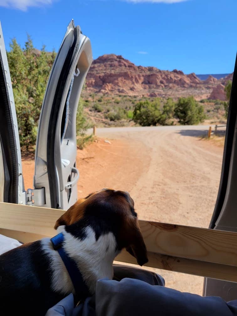 Robert C.'s photo of camping with pets at Ken's Lake Campground near Delta, UT