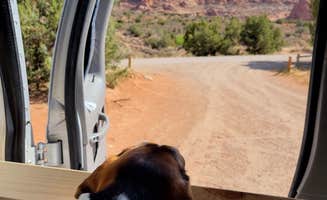 Robert C.'s photo of camping with pets at Ken's Lake Campground near Dugway, UT