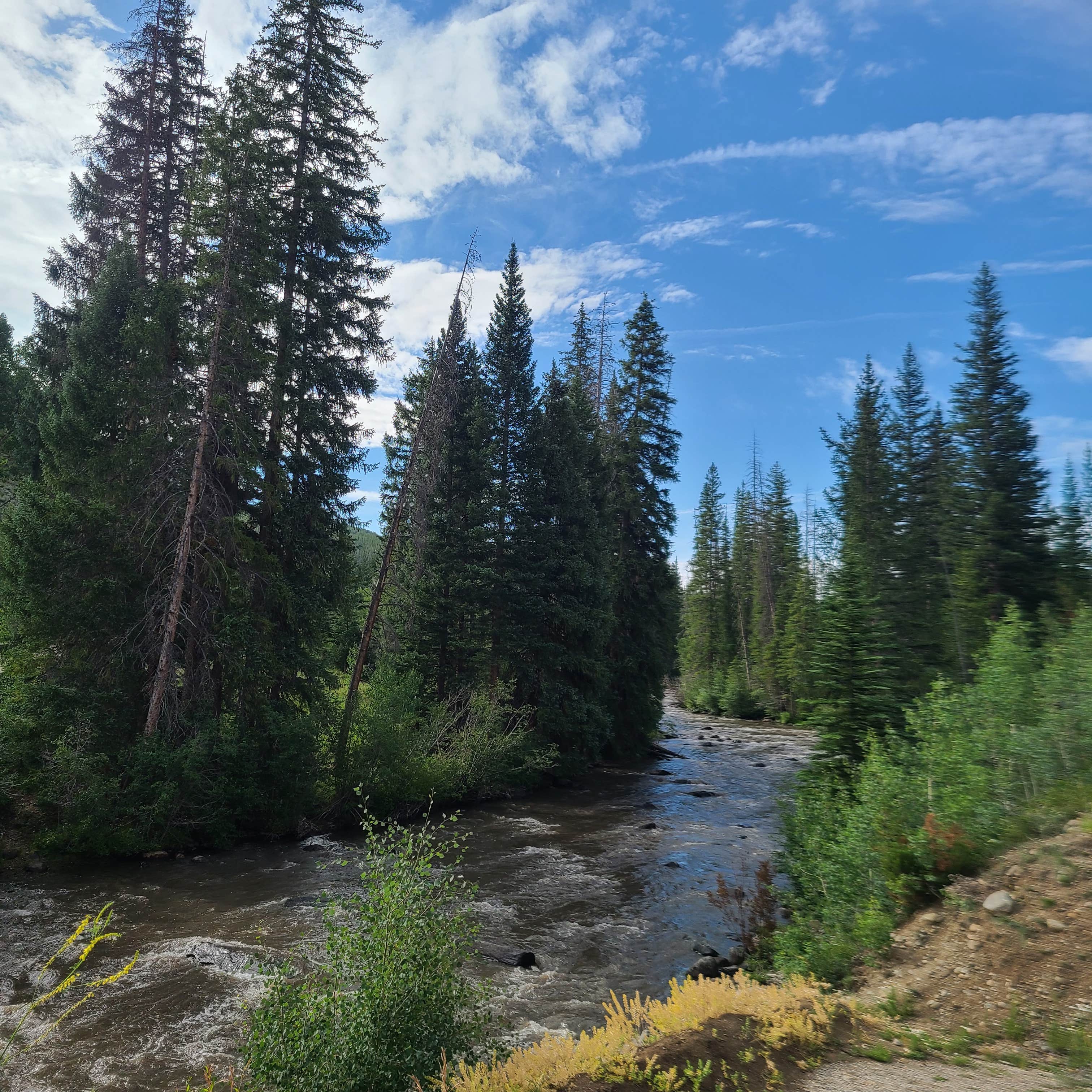 Camping near Weston Pass Campground: Horseshoe Campground, Fairplay, Colorado