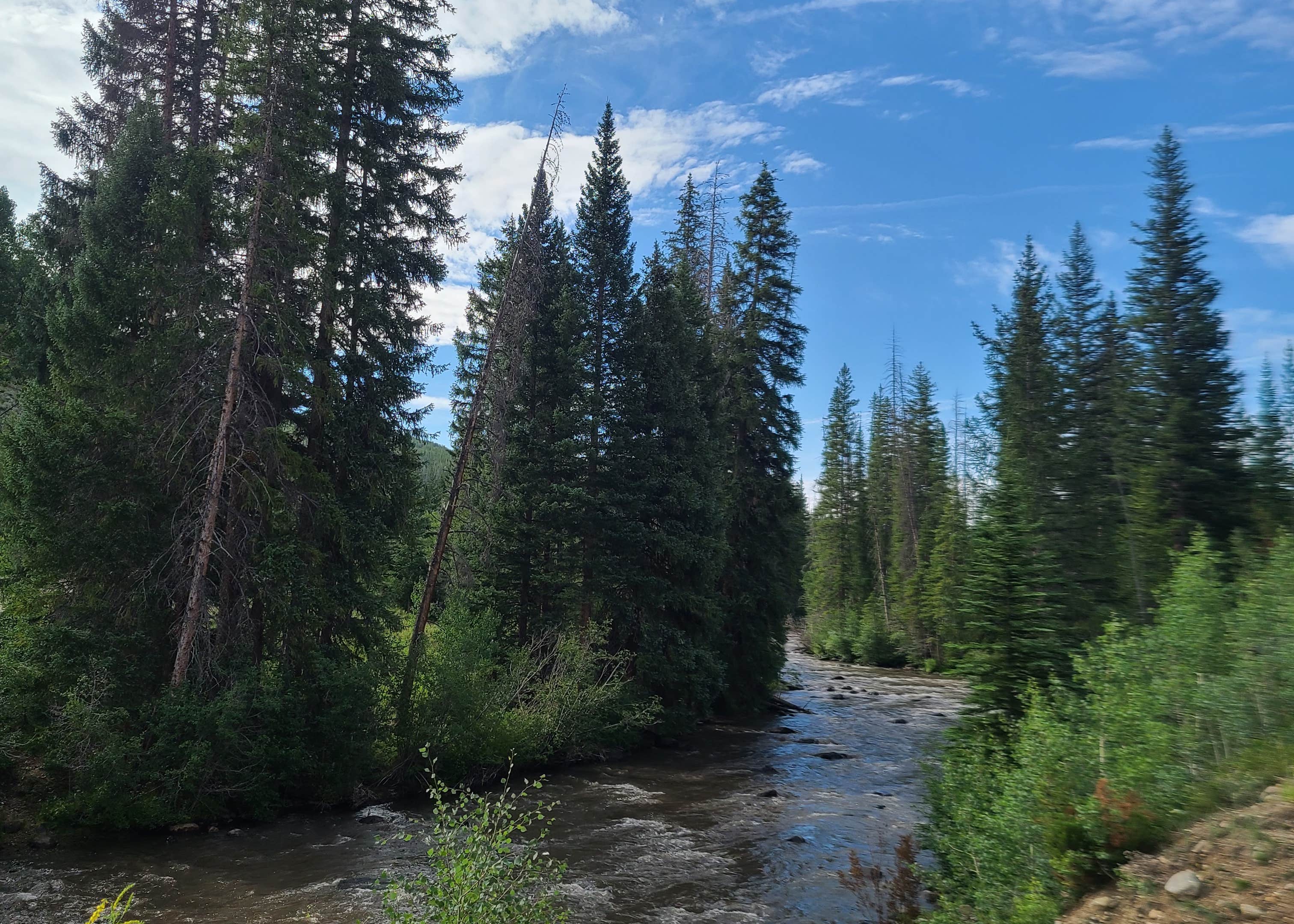 Horseshoe Campground Camping The Dyrt