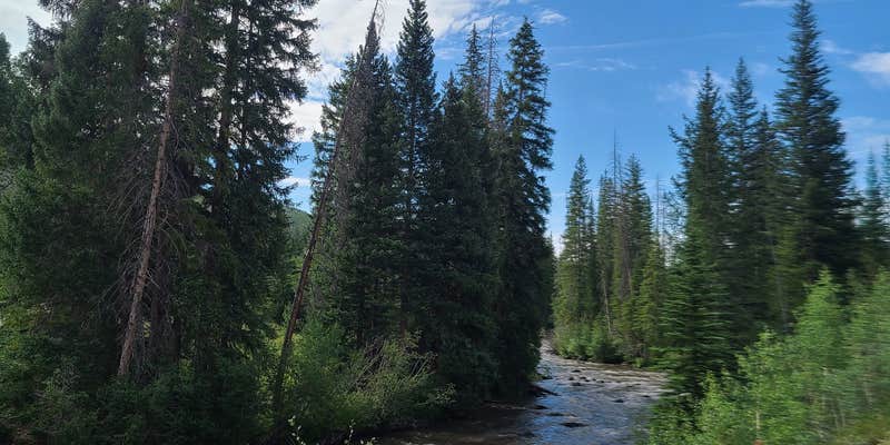 Camper submitted image from Horseshoe Campground