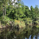 Review photo of Davis Bayou Campground — Gulf Islands National Seashore by Michael M., June 17, 2018