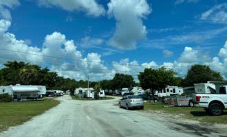 Camping near Savannas Recreational Park: Easy Livin' RV Park, Fort Pierce, Florida