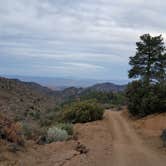 Review photo of Hualapai Mountain Park by Mary S., June 17, 2018