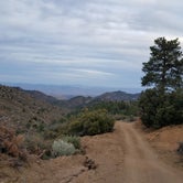 Review photo of Hualapai Mountain Park by Mary S., June 17, 2018