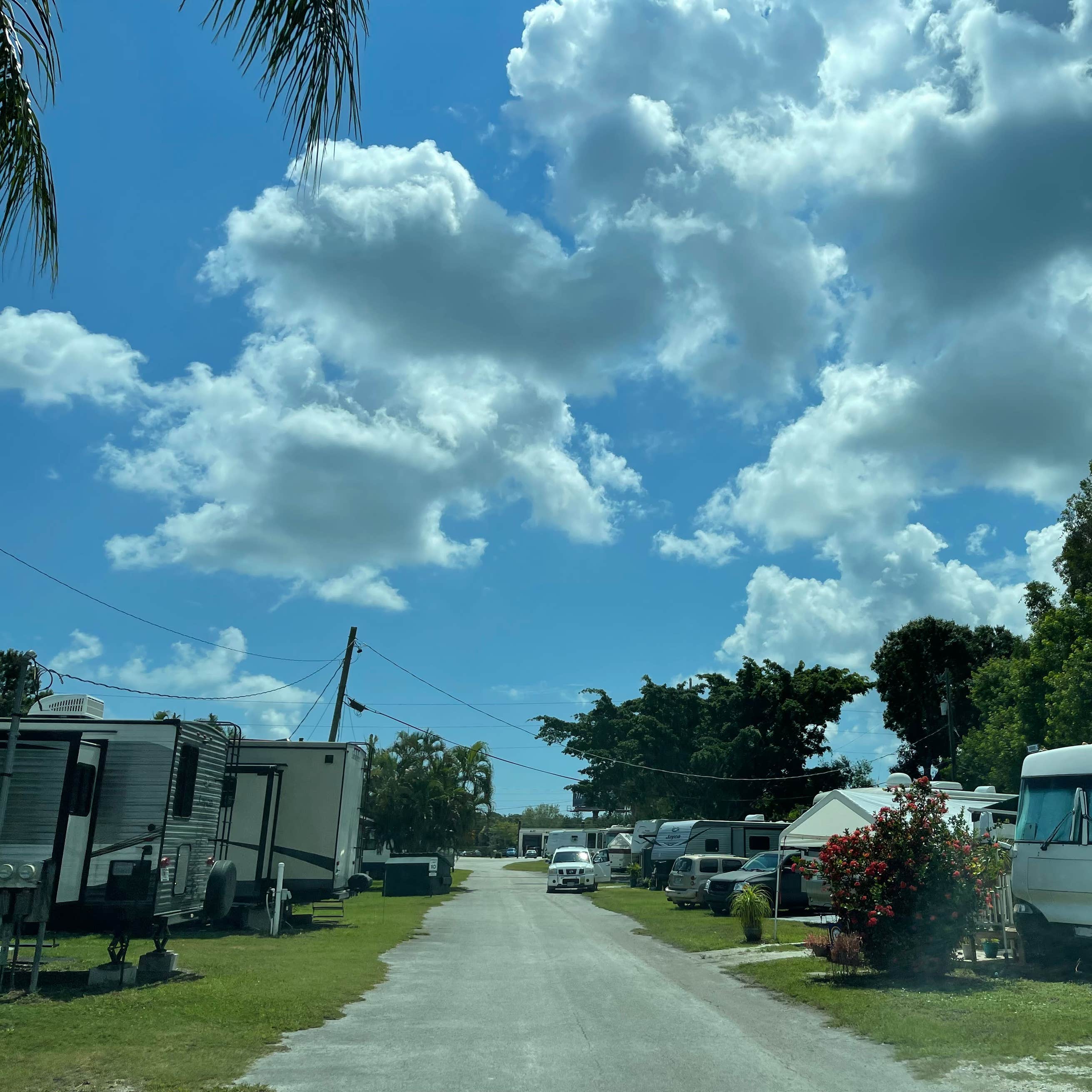 Easy Livin' RV Park Camping The Dyrt