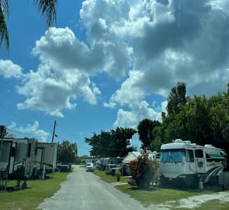 Camper-submitted photo from Easy Livin' RV Park