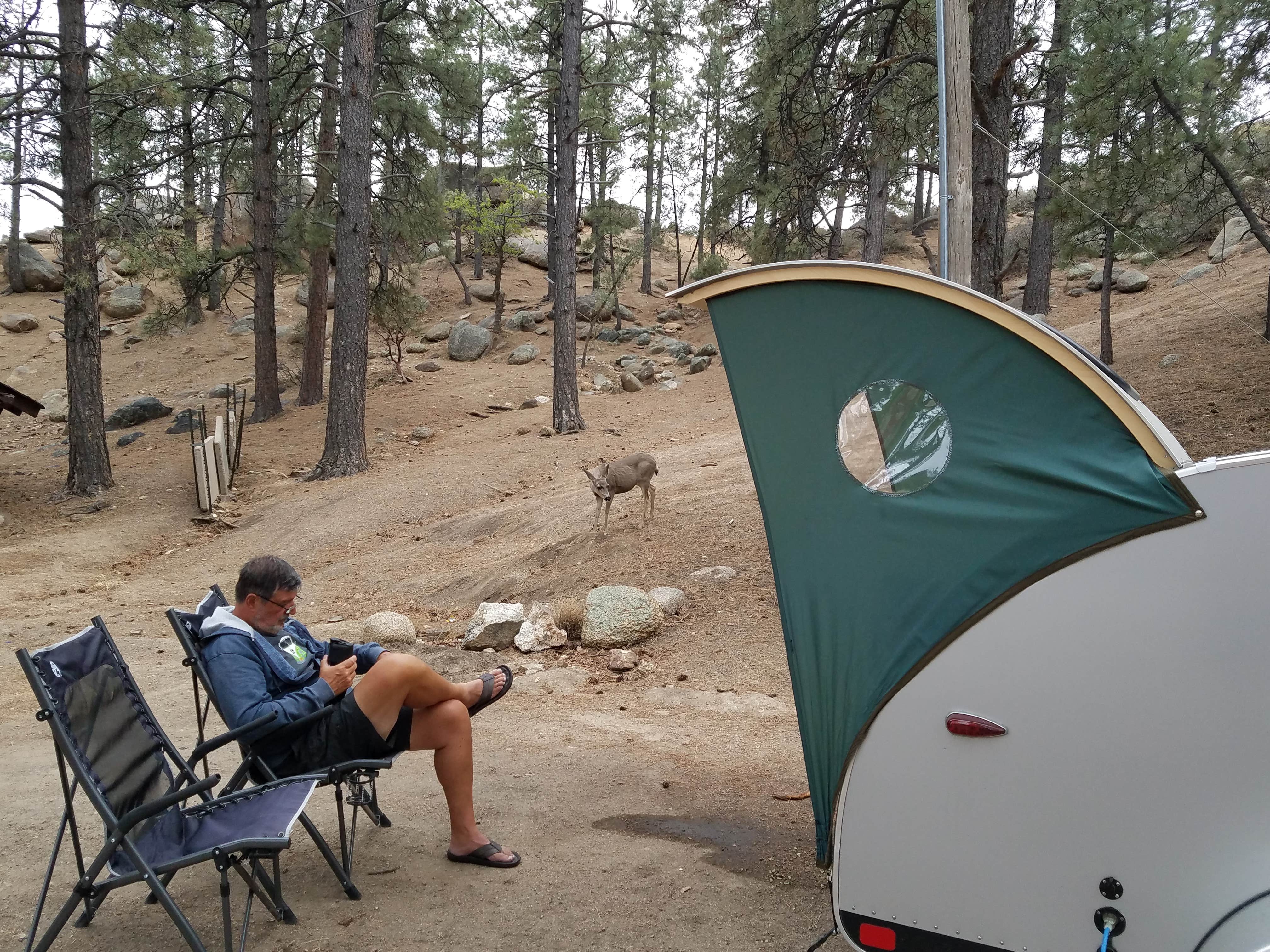 Camper submitted image from Hualapai Mountain Park - 4