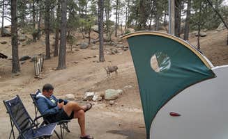 Mary S.'s photo at Hualapai Mountain Park in Arizona