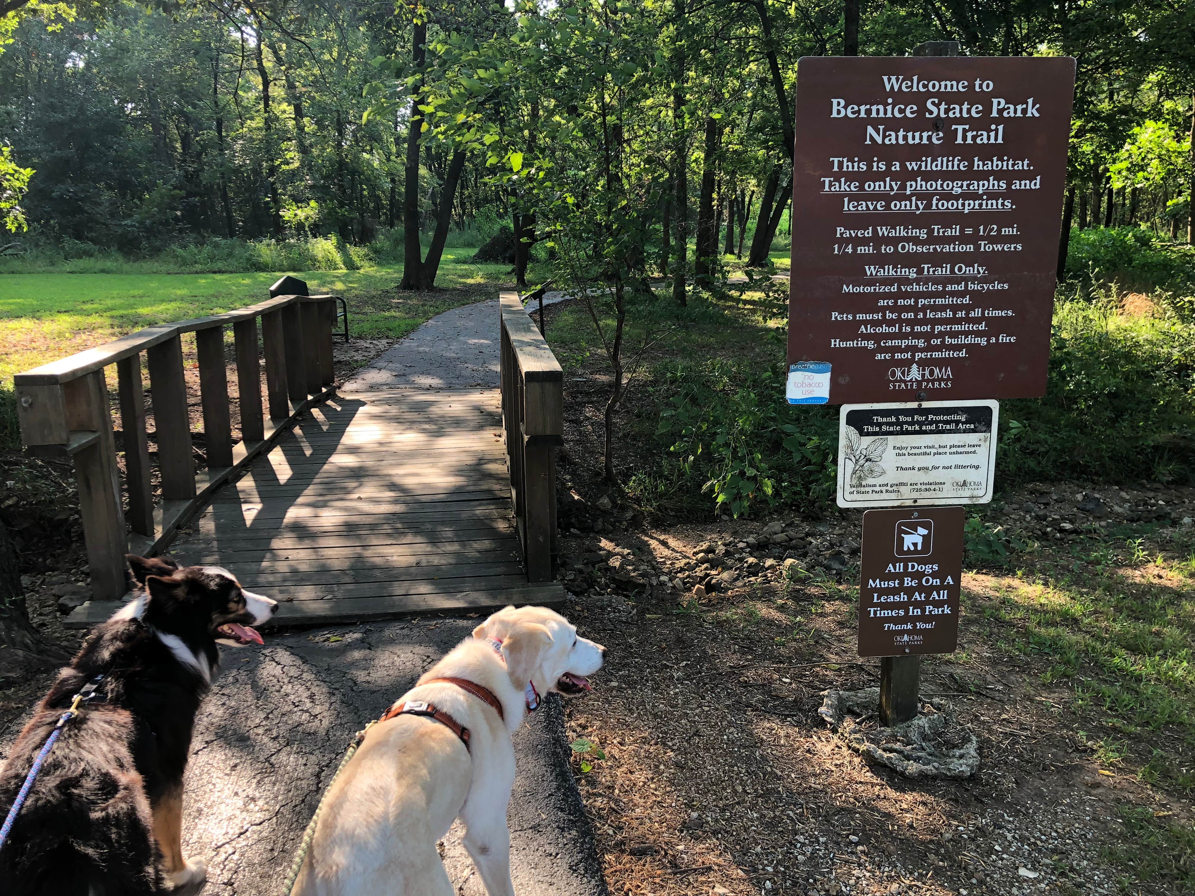 Bernice Area — Grand Lake State Park Camping | Bernice, OK