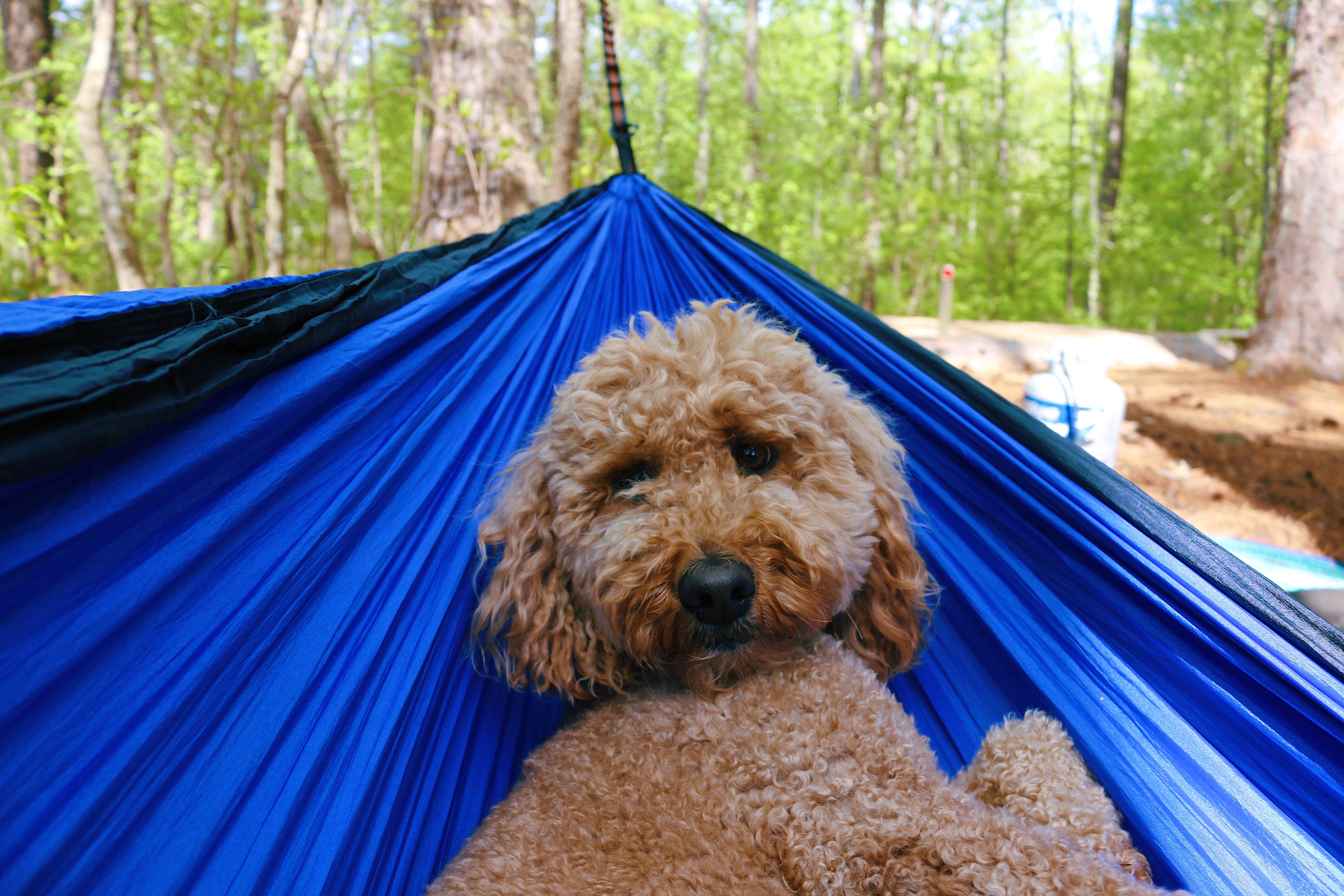 Camper submitted image from Mckaskey Creek Campground - 3