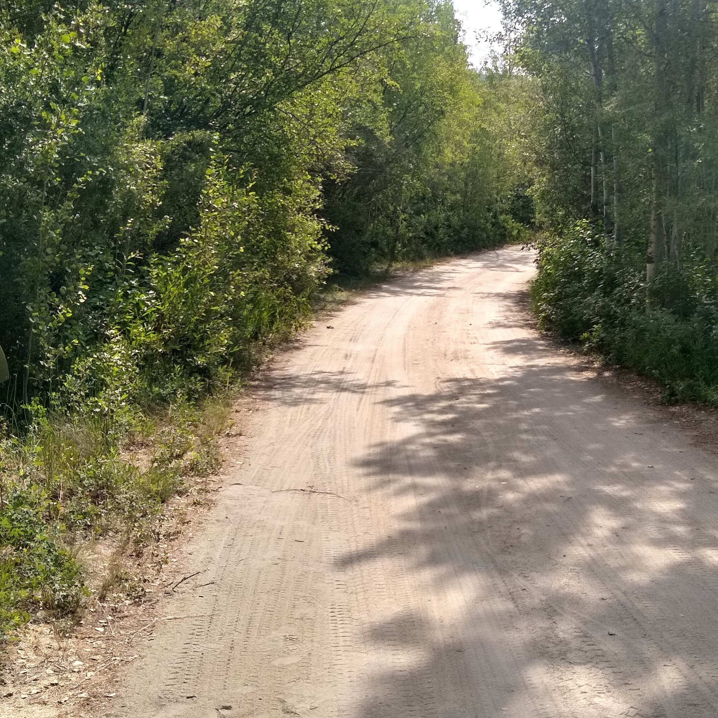 Roads
