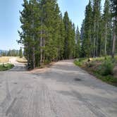 Review photo of Trails End Campground Elkhart Park by Greg L., August 1, 2021