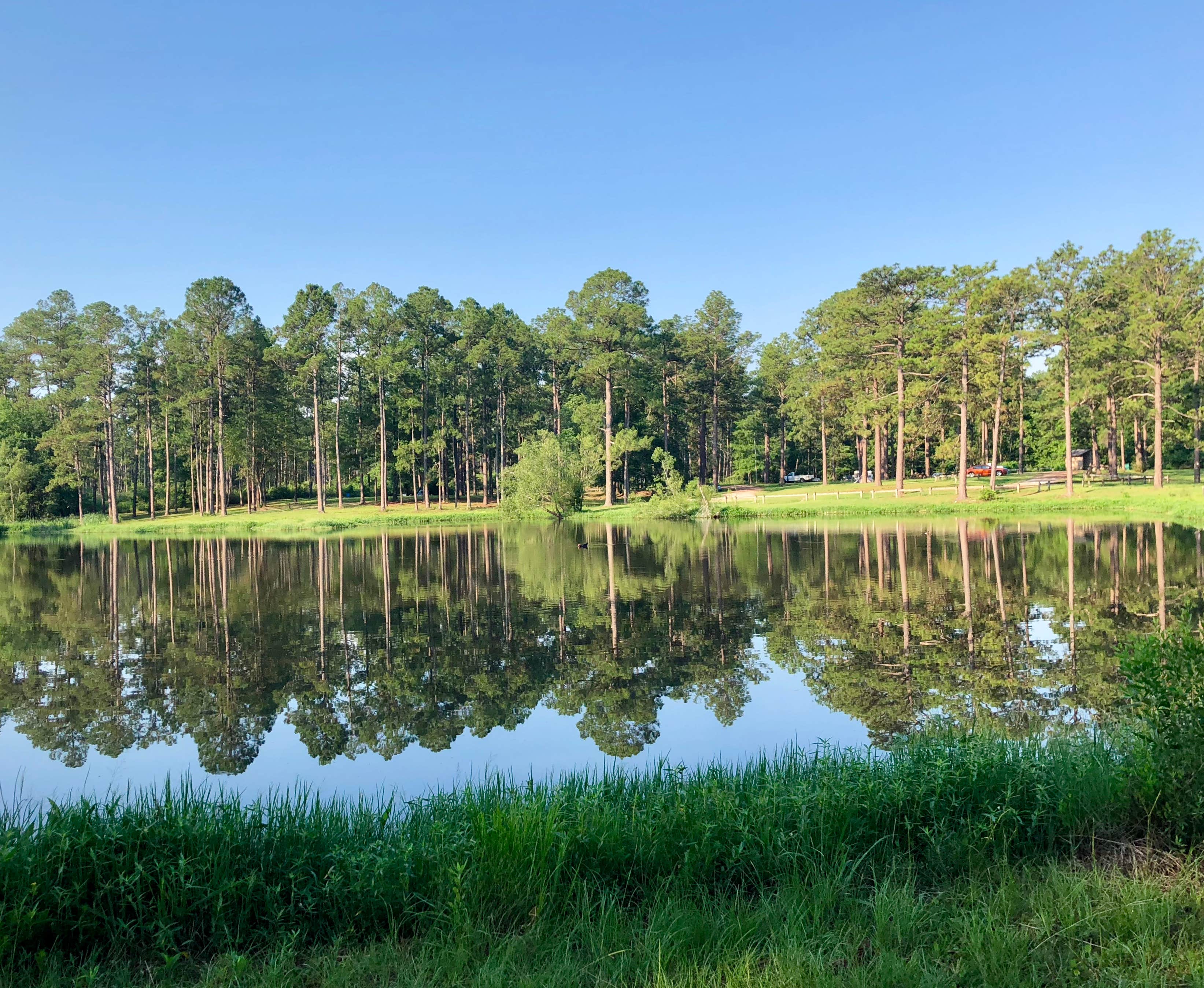 Camper-submitted photo at Airey Lake Recreation Area in Mississippi