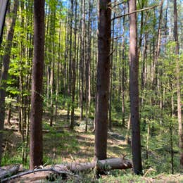 Ole Bull State Park Campground