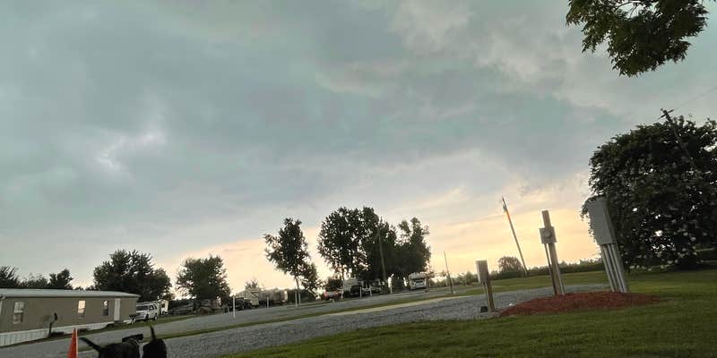 Camper submitted image from T's Outback RV Park