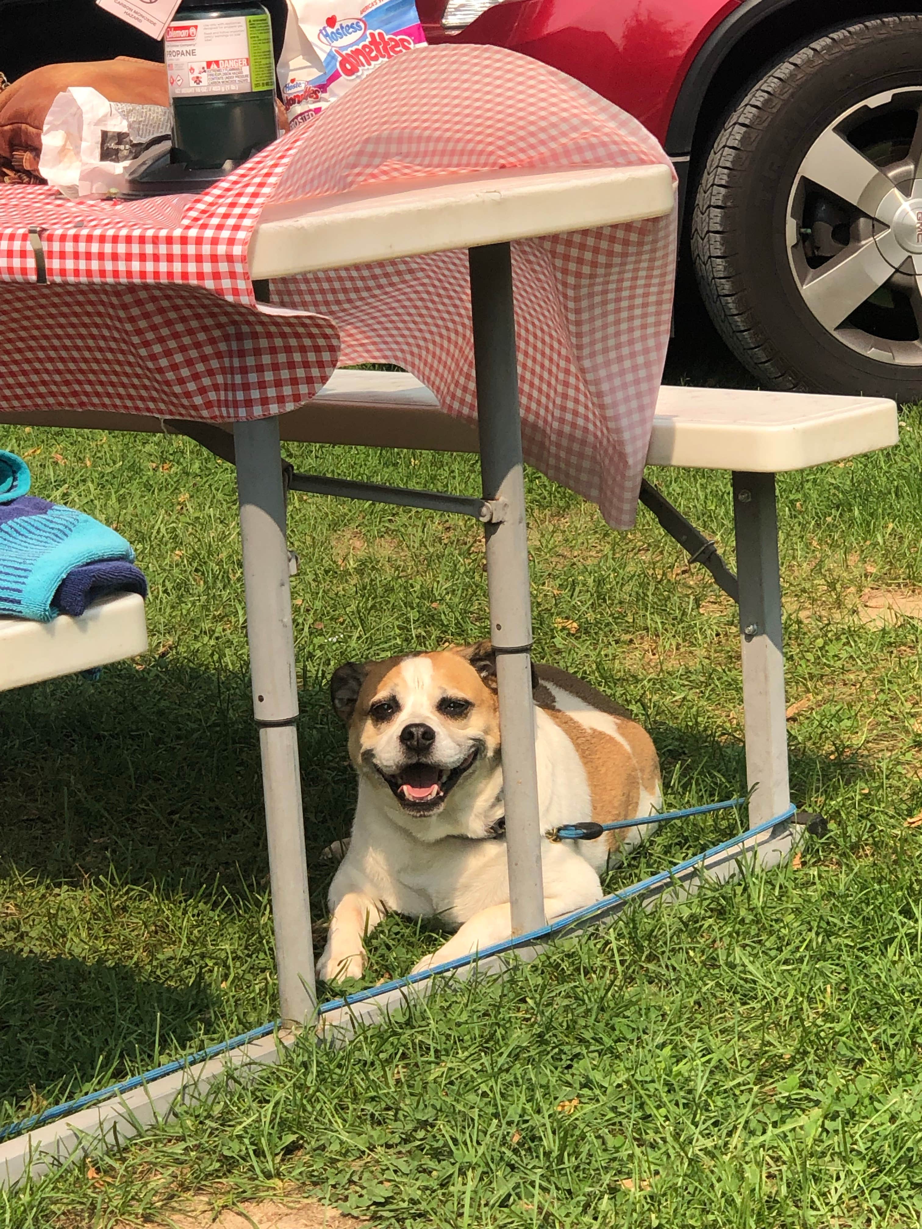 Heather H.'s photo of camping with pets at Glacier Valley Campground near Beaver Dam, WI