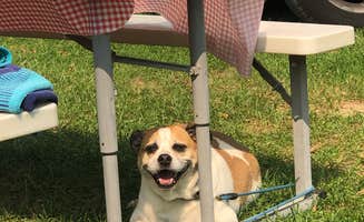 Heather H.'s photo of camping with pets at Glacier Valley Campground near Neshkoro, WI