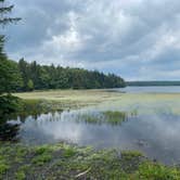 Review photo of Lower Lake Campground Rhododendron Area — Promised Land State Park by Heather , August 1, 2021