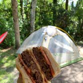 Review photo of Collier–Seminole State Park Campground by Nick C., August 1, 2021