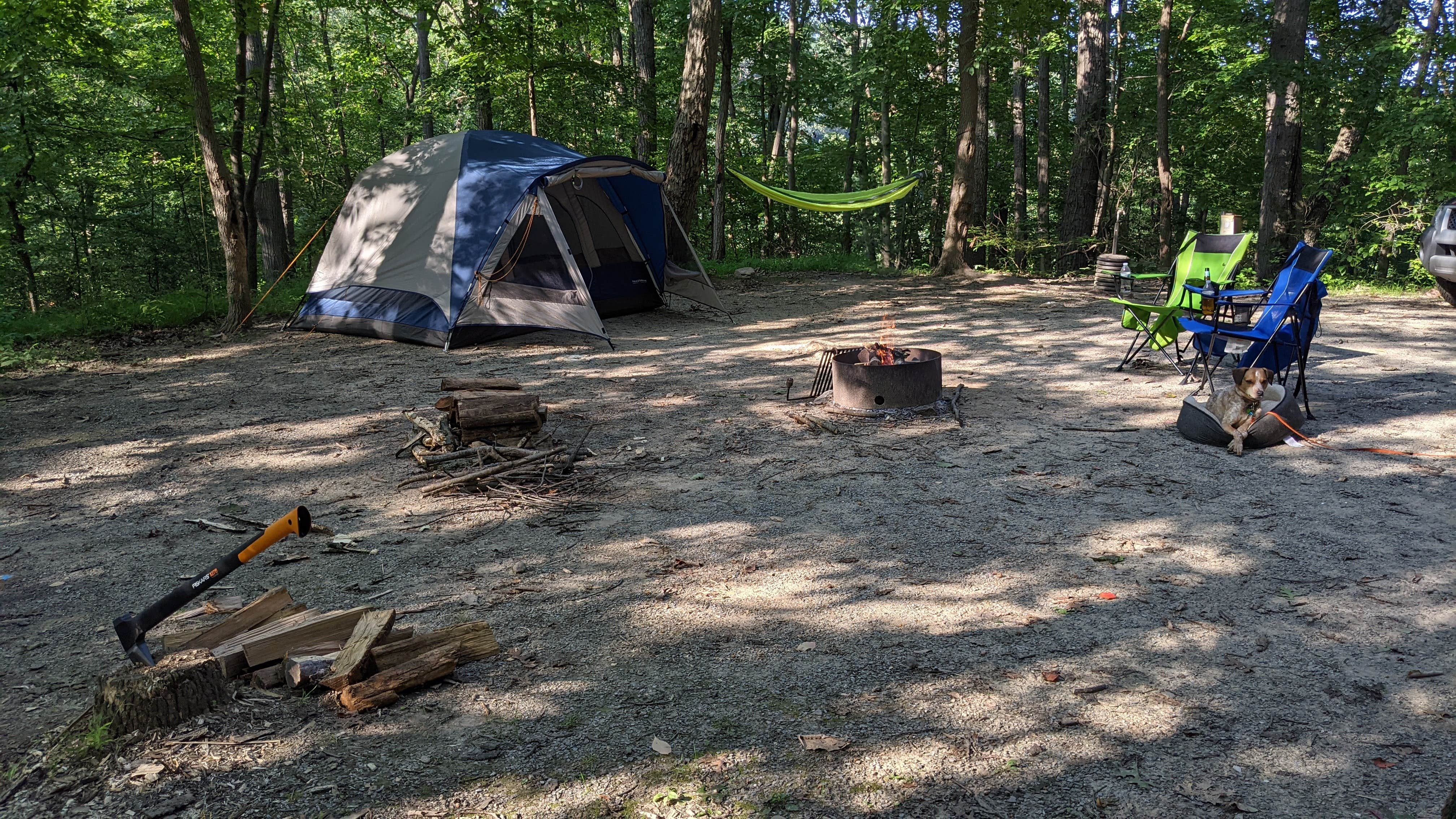 Camper submitted image from Pequea Creek Campground  - 1