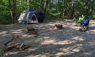 Camping near Muddy Run Rec Park - PPL: Pequea Creek Campground, Pequea, Pennsylvania