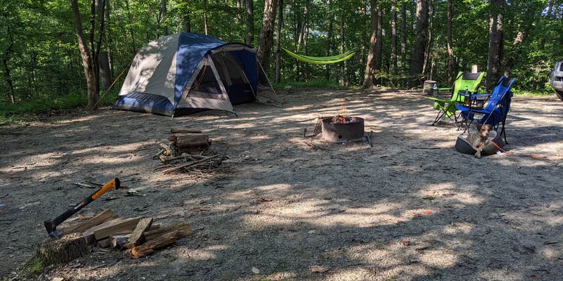 Camper submitted image from Pequea Creek Campground