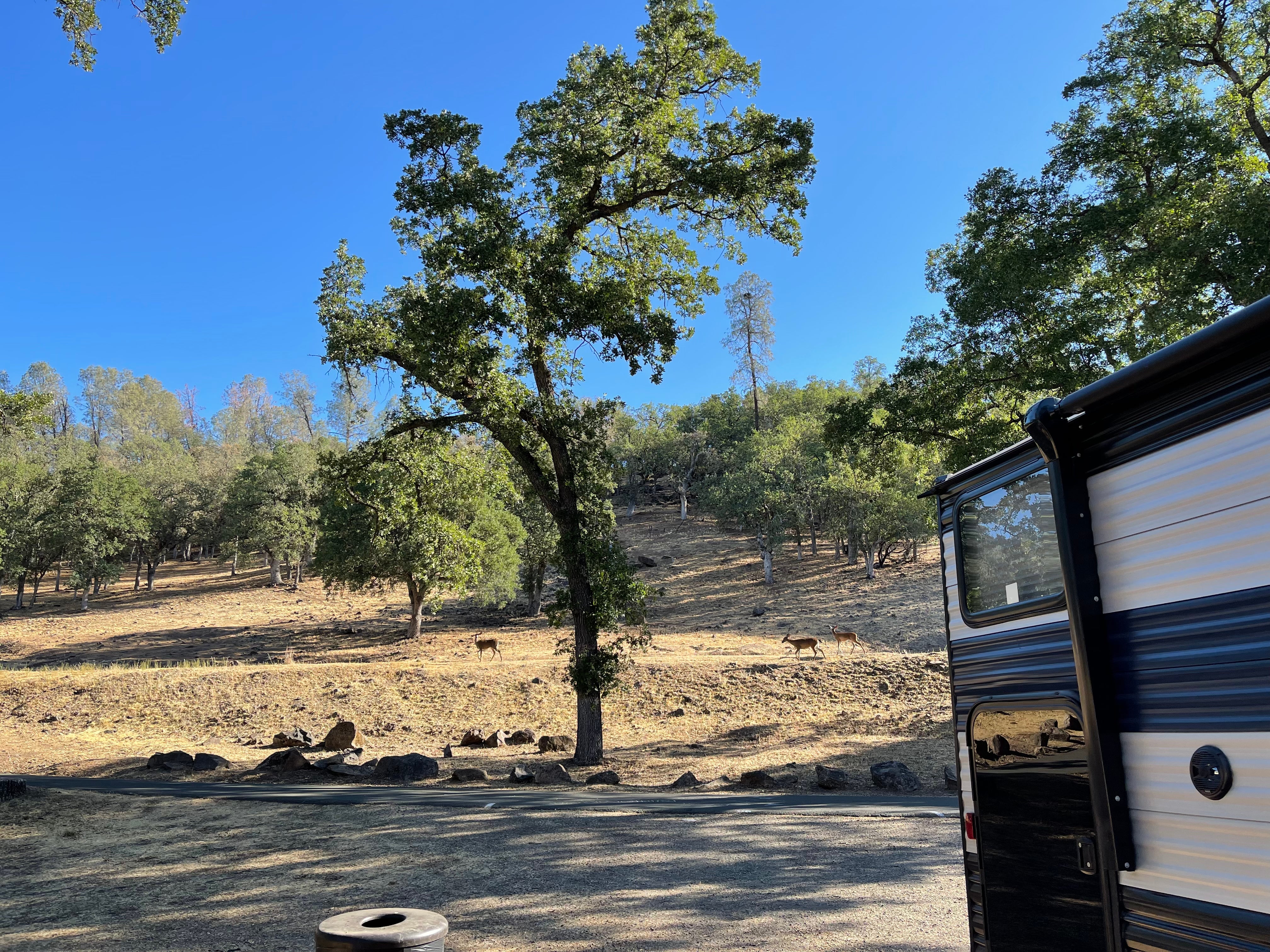 Camper submitted image from Hidden Valley Lake Campground - 5