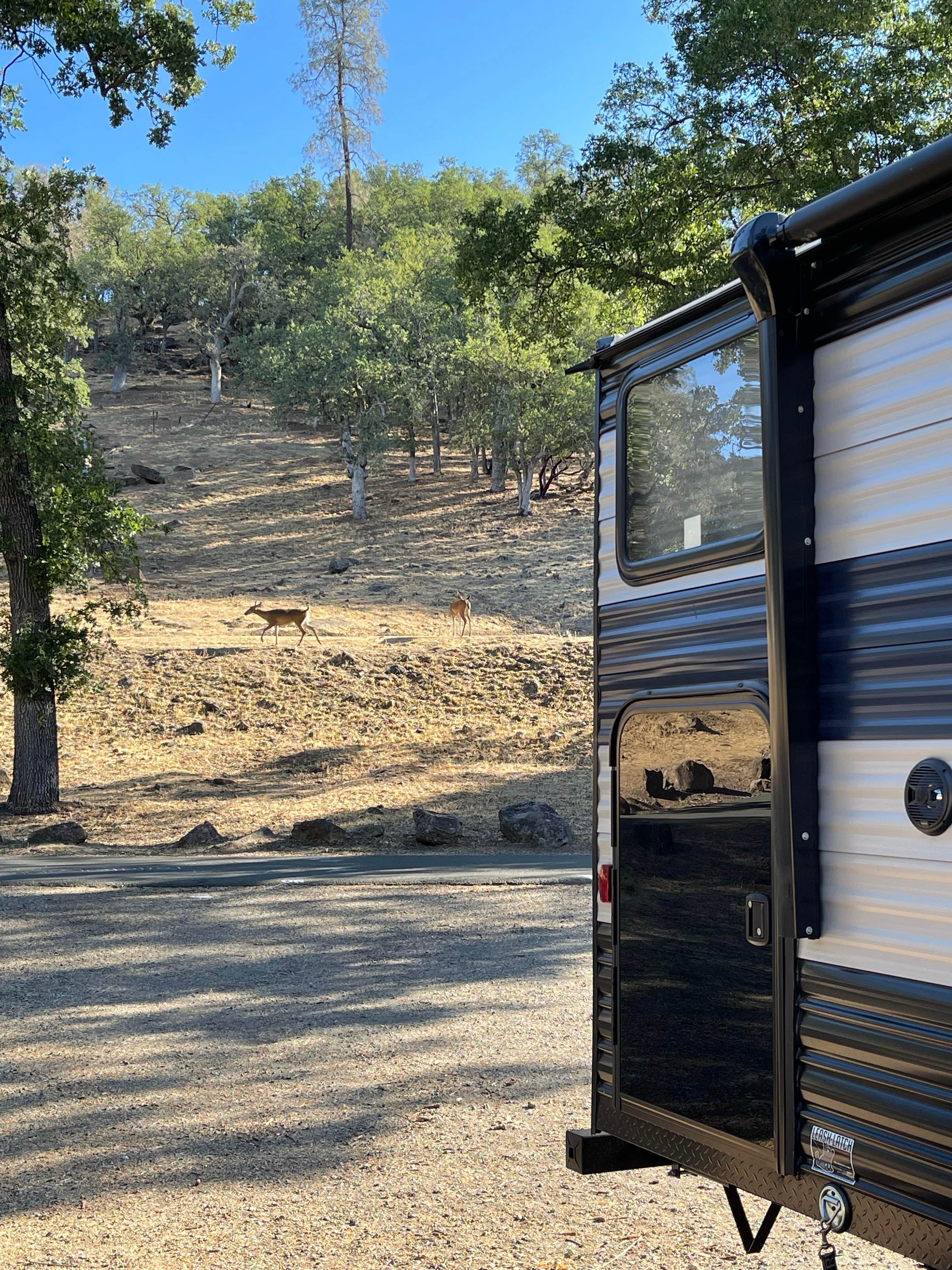 Camper submitted image from Hidden Valley Lake Campground - 4