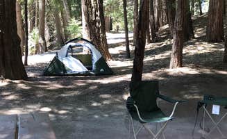 Doc D.'s photo at China Flat Campground near Eldorado National Forest