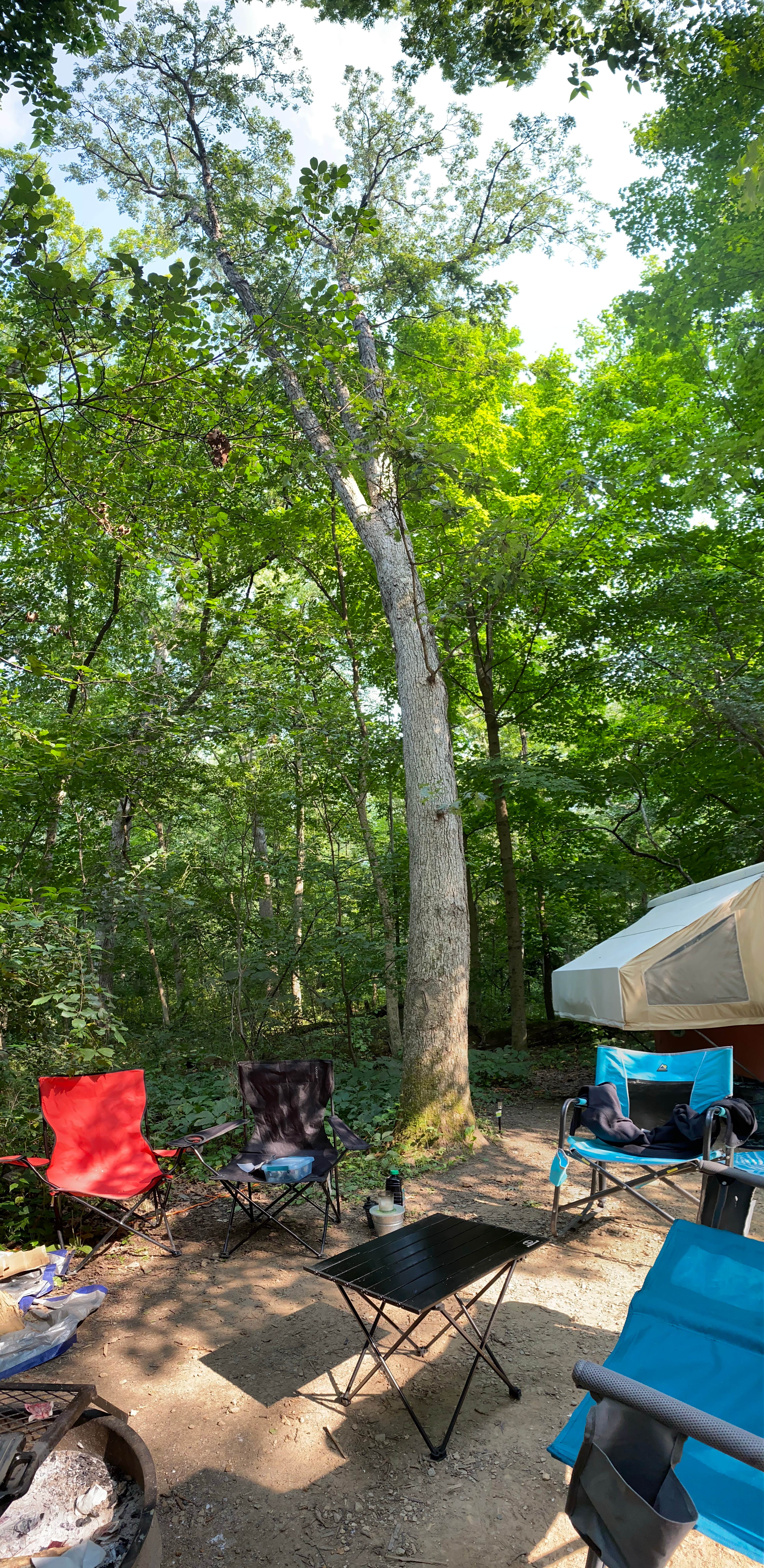Brian H.'s photo at Lake Kegonsa State Park Campground near Edgerton, WI