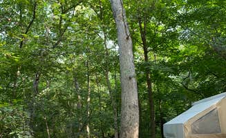 Brian H.'s photo at Lake Kegonsa State Park Campground near Cambridge, WI
