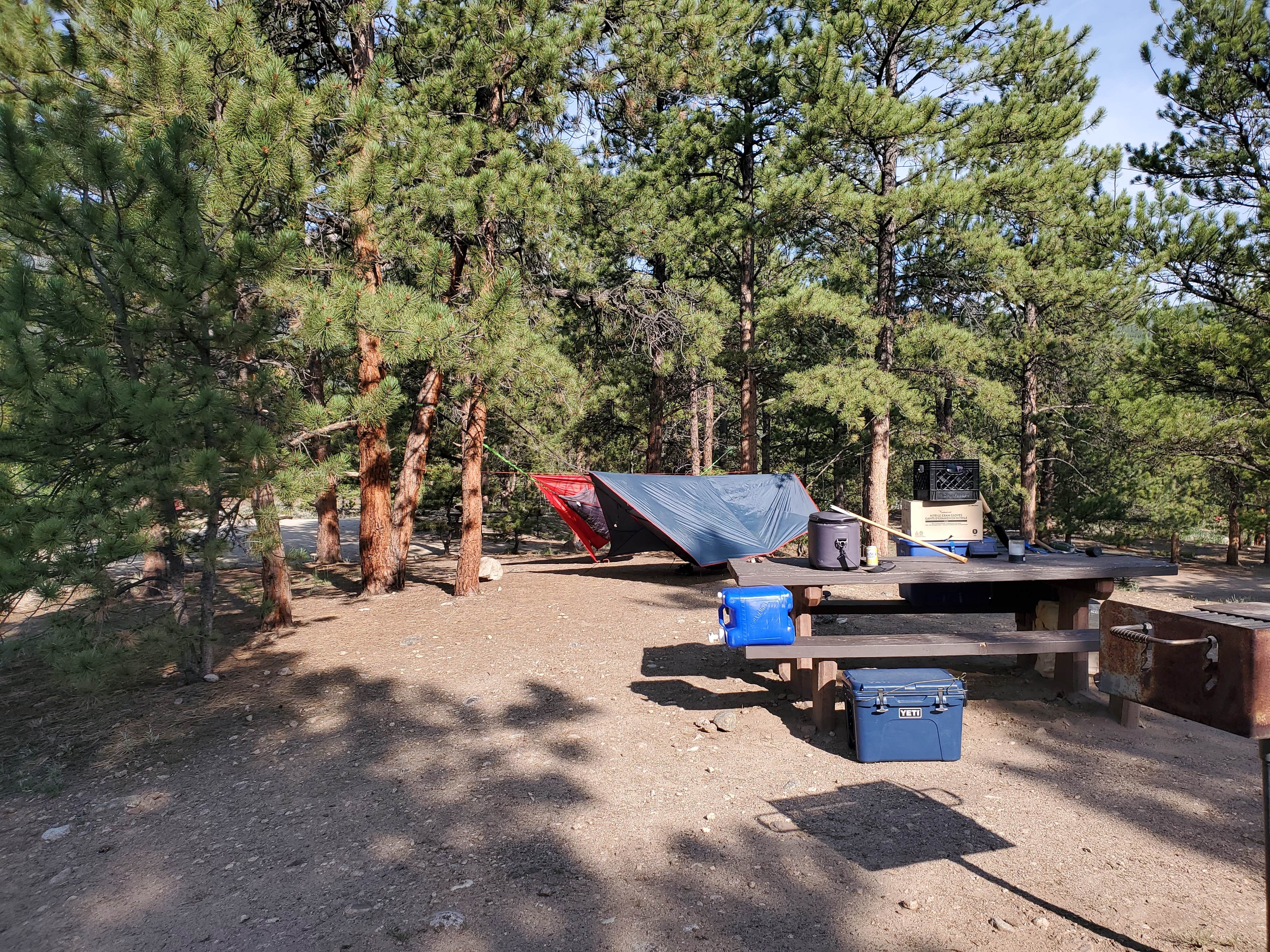 Best dispersed camping near Salida, Colorado The Dyrt