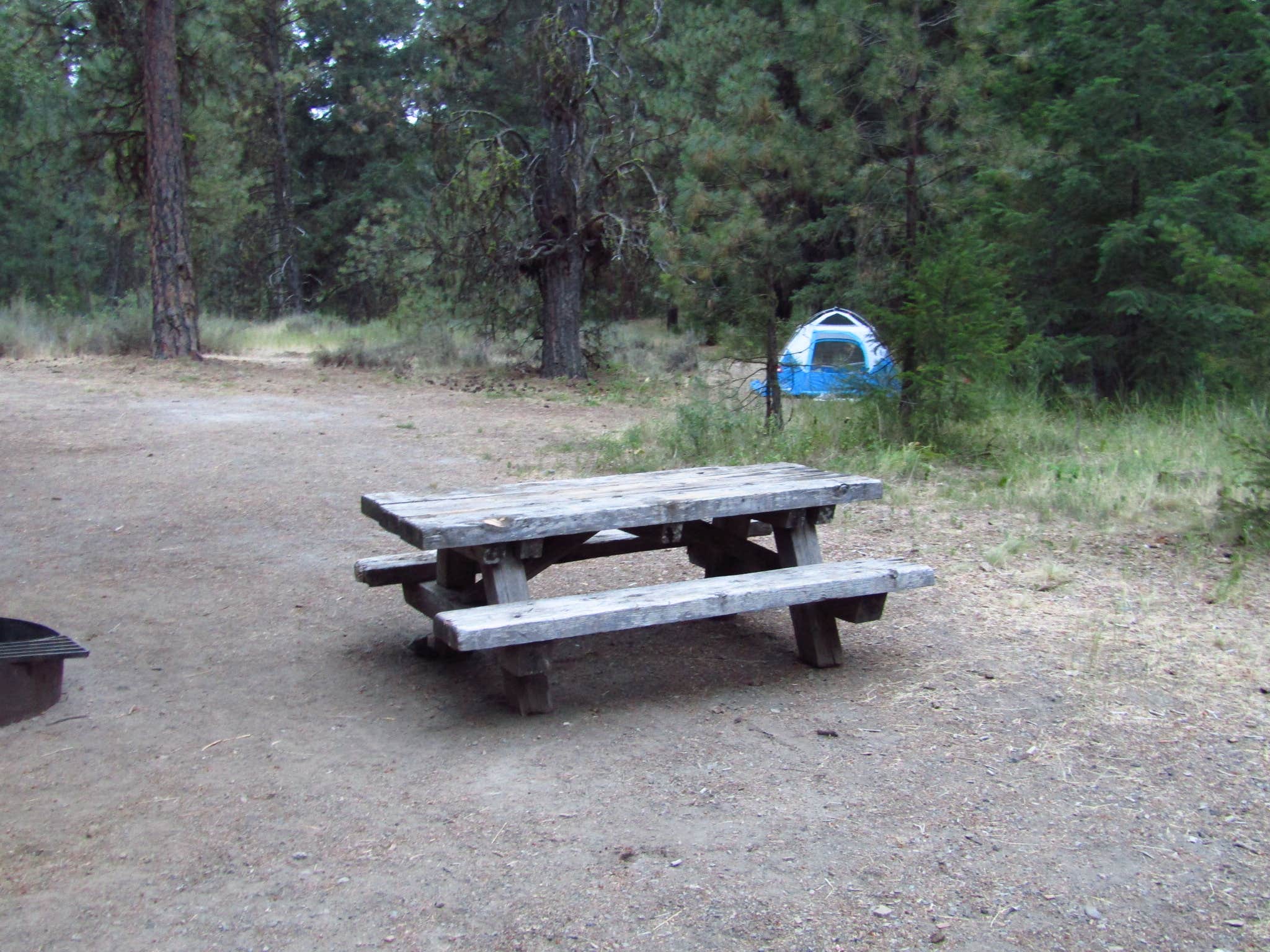 Wendy's photo at Hause Creek Campground near Toppenish, WA